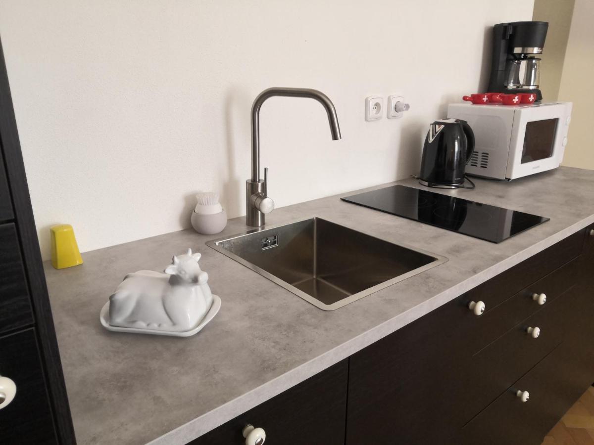 Swiss House Apartments Slavonice Exterior foto